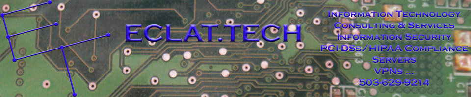 ECLAT Tech web header with blue logo, eclat.tech url, Short Services list on right side including Information Technology Consulting and Services, Information Security, HIPAA and PCI Compliance, Servers, VPNs and the phone number 503-629-9214